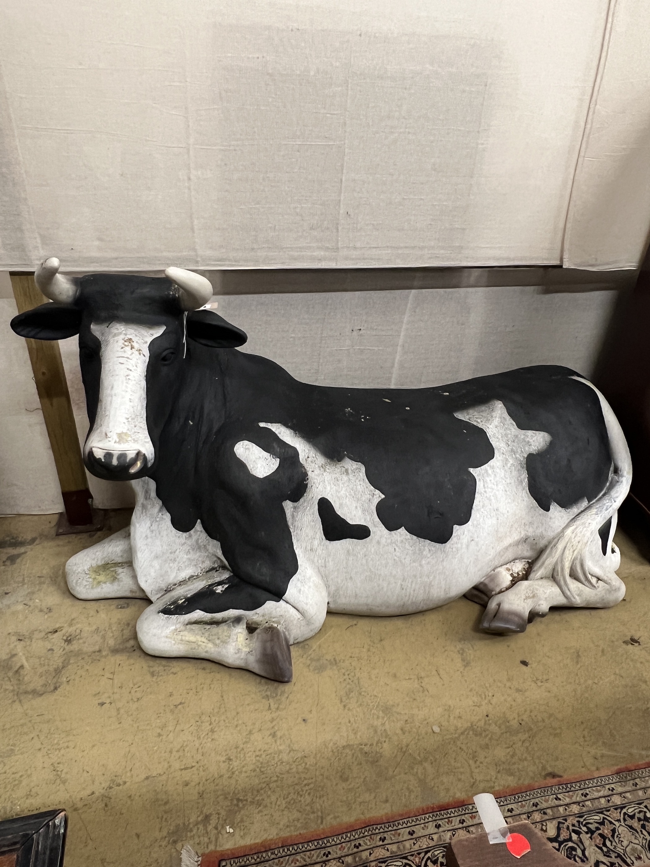 A life size composition recumbent Friesian cow garden ornament, length 180cm, height 103cm